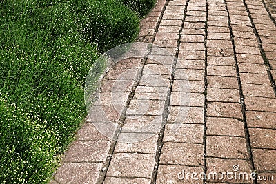 Antique Brick Pavers Alley with Green Plant Hedge