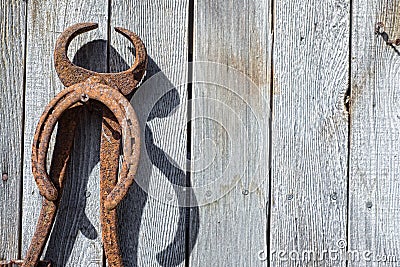 Antique horseshoeing tool wall
