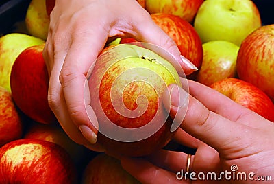 Apple From Hand to Hand