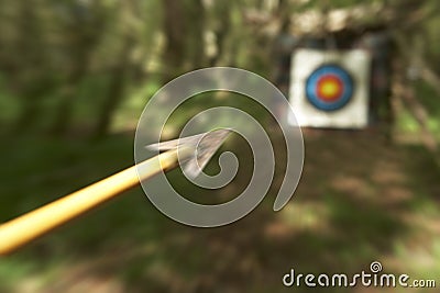 ARCHERY ARROW AIMING AT TARGET IN WOODLAND