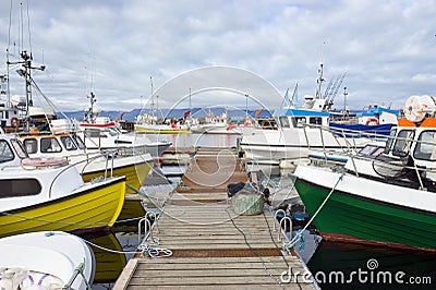 Arctic Fishing Fleet