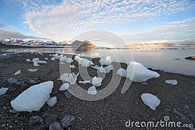 Arctic landscape, ice on the shore