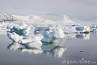 Arctic landscape,ice in the water
