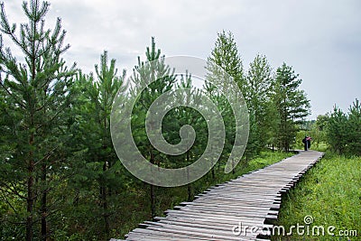 Arctic sandbar forest trails Mohe Arctic Village