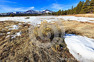 Arizona Mountain Scene