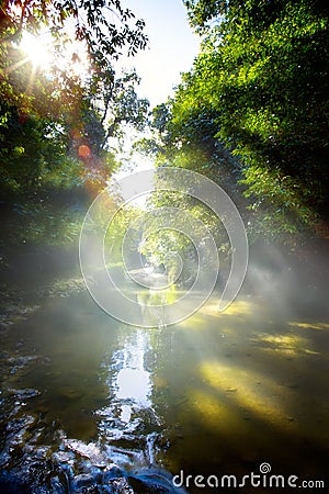 Art beautifu landscape with morning tropical River in jungle