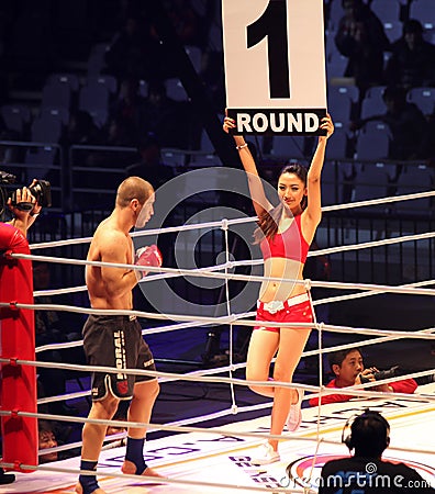 Art of War Fighting Championship 15.