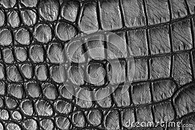 Artificial crocodile leather