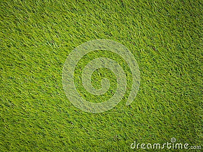 Artificial turf japanese green