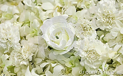 Artificial White Flowers.