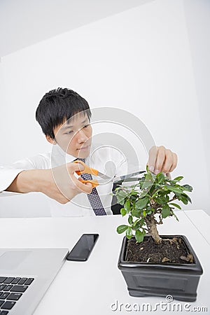 Asian businessman pruning plant at office desk