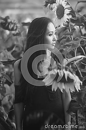 Asian model in sunflowers