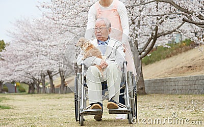Asian senior man sitting on a wheelchair with caregiver and dog