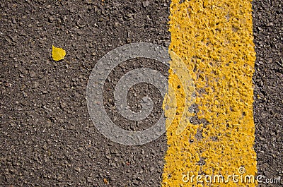 Asphalt closeup yellow road mark small birch leaf