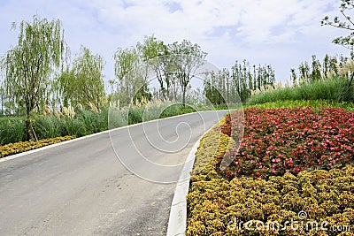 Asphalt road in colorful summer plants on cloudy day