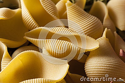 Assorted Homemade Dry Italian Pasta