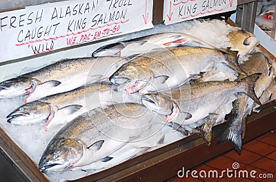 Atlantic King Salmon on the market.