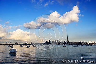 Auckland skyline with blue sky