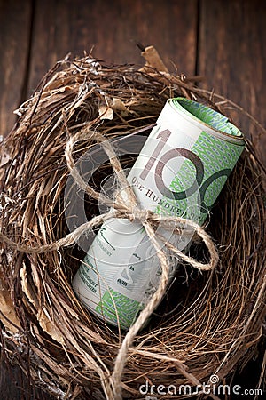 Australian Superannuation Nest Egg Money