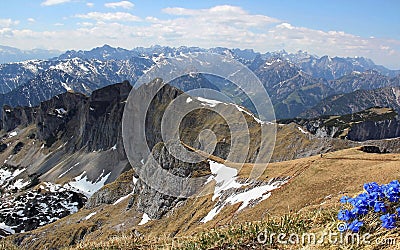 Austrian mountain range and gentian
