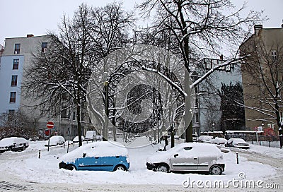 Autos are covered with a snow parked on the street