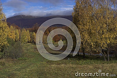 Autumn in Carpathian mountains