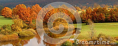 Autumn Coloured Trees Stock Photography - Image: 4138382