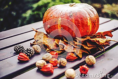 Autumn decoration