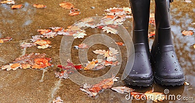 Autumn Fall concept wellington boots leaves