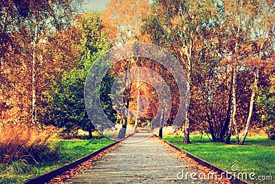 Autumn, fall park. Wooden path, colorful leaves on trees.