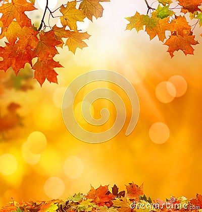 Autumn falling leaves background