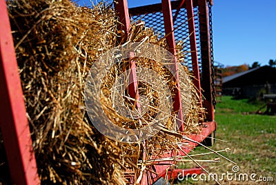 Autumn hay ride