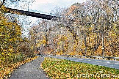 Autumn hiking trail