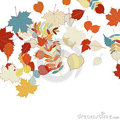 Autumn leaves falling and spinning on white.