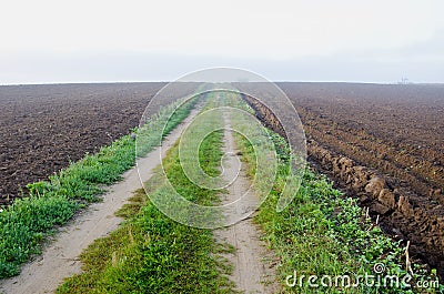 Autumn misty road in plowed farm field