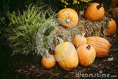 Autumn Outdoor Decor - Nostalgic 1