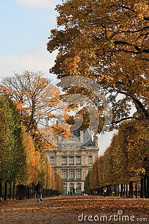 Autumn in Paris