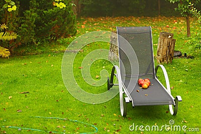 Autumn red apples on chair in garden