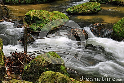 Autumn river with stones