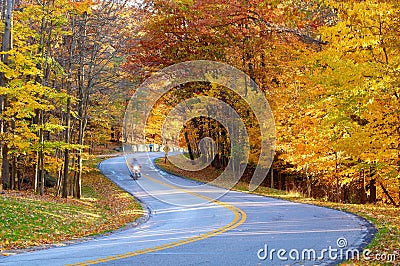 Autumn road with biker