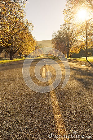 Autumn roads New Zealand