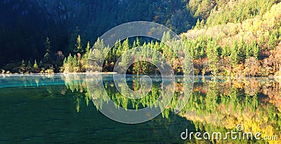 Autumn tree and lake panorama in Jiuzhaigou