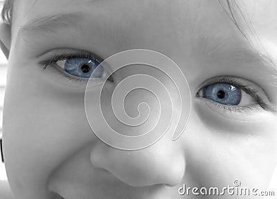 Baby Blue Eyes Close Up in Black and White