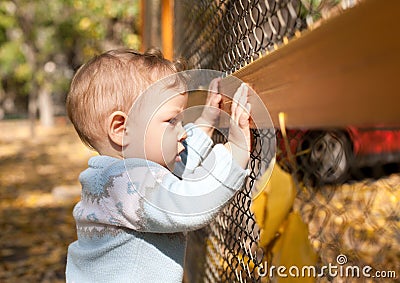 Baby boy standing near metal fence in autumn yard