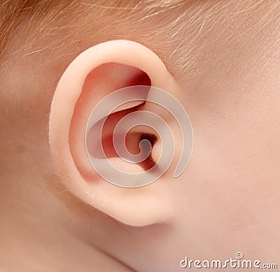 Baby ear