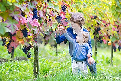 Baby girl and her cute brother in sunny vine yard