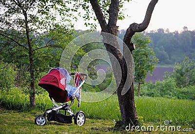 Baby stroller in the park