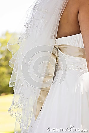Back of Wedding Gown with Veil