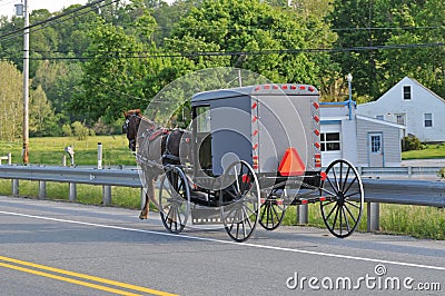 Back view of Amish horse and buggy