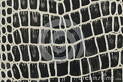 Background black and white snake leather